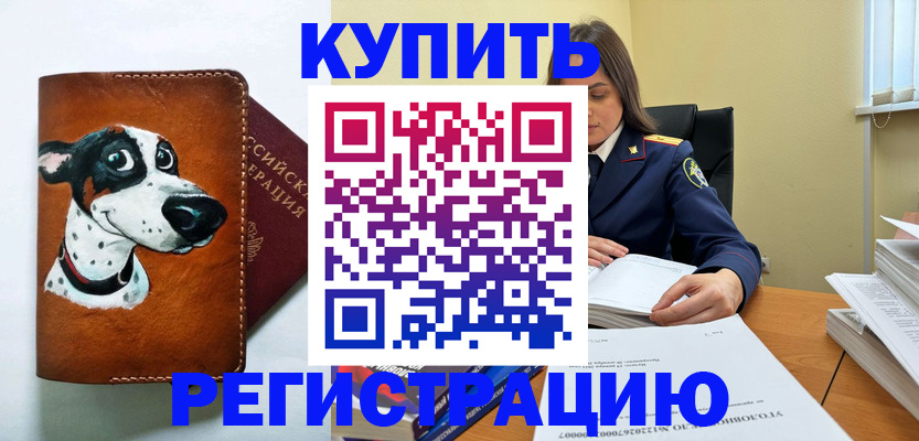 временная регистрация для всех в Бердске